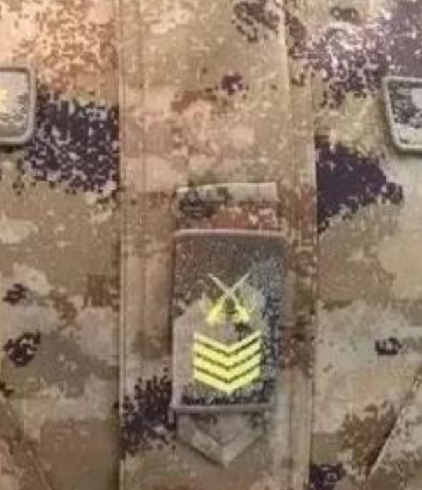 宝山星空迷彩专注军民两用迷彩伪装工程